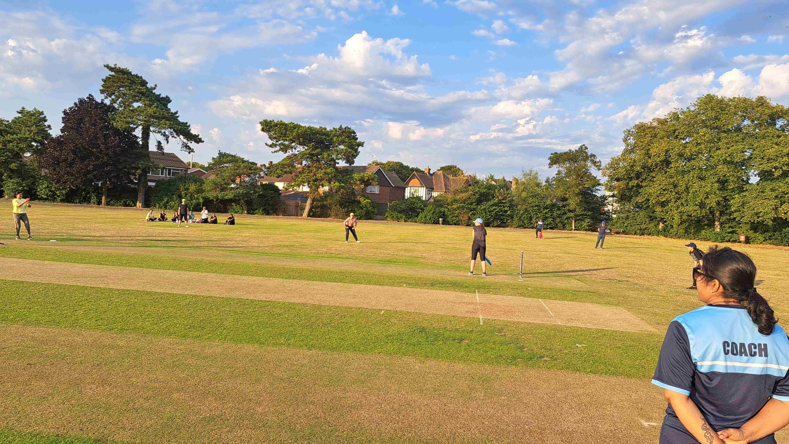 Ladies Cricket Ladies Cricket