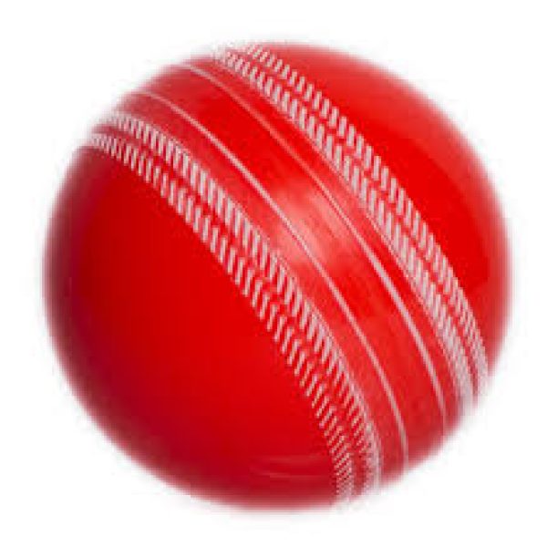 Junior Winter Training Softball Session Autumn 2025 - Wednesdays 6pm - 7:30pm Wilmington Leigh Academy